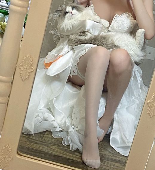 看电视高清免费软件_BD英语高清视频观看